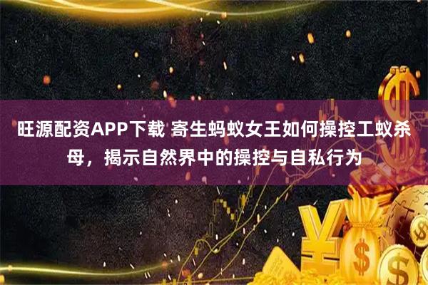 旺源配资APP下载 寄生蚂蚁女王如何操控工蚁杀母，揭示自然界中的操控与自私行为