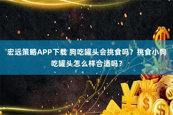 宏远策略APP下载 狗吃罐头会挑食吗？挑食小狗吃罐头怎么样合适吗？
