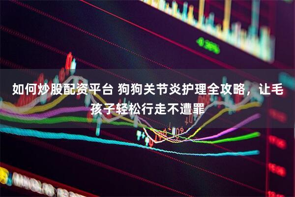 如何炒股配资平台 狗狗关节炎护理全攻略，让毛孩子轻松行走不遭罪